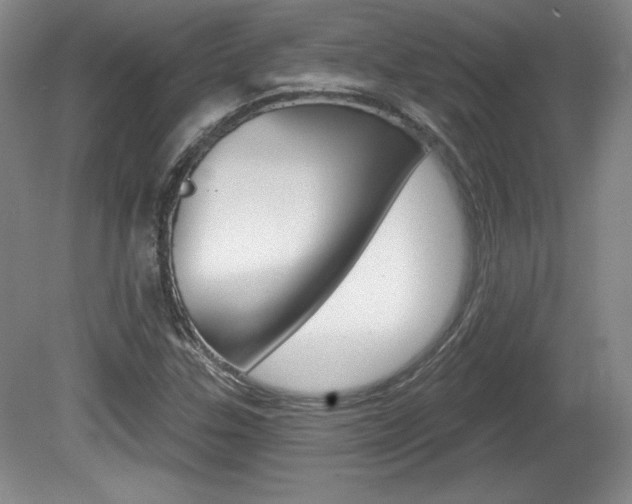 X0000080101307200612080919