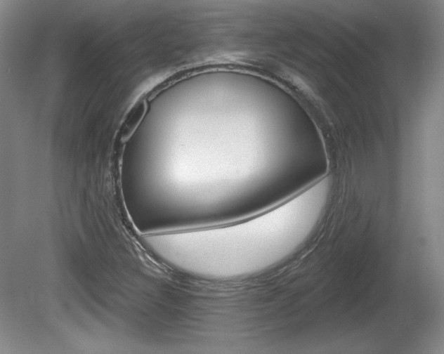 X0000080101308200612080919