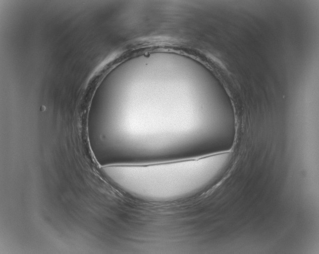 X0000080101309200612080919