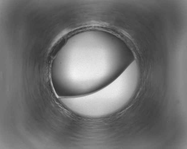 X0000080101310200612080919