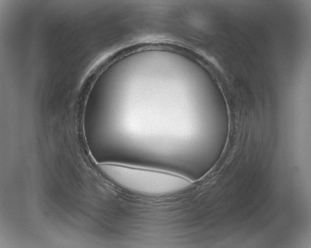 X0000080101311200612080919