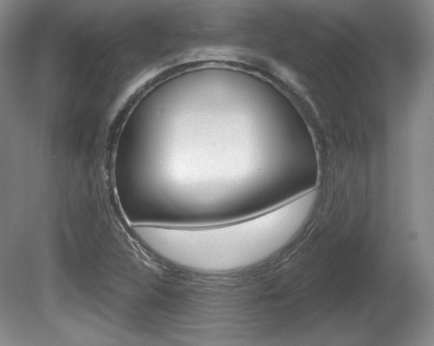 X0000080101312200612080919