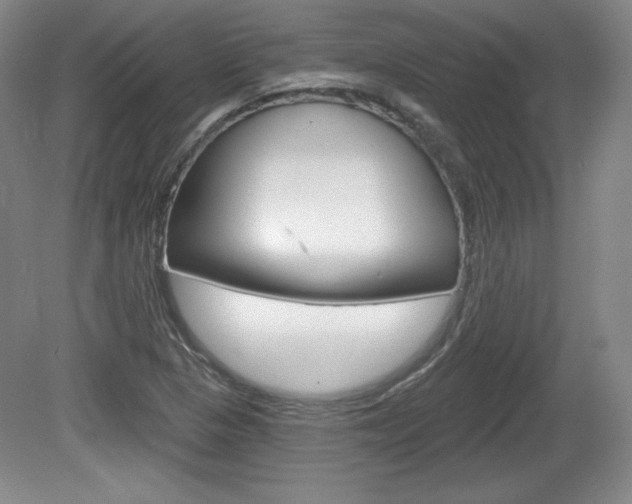 X0000080101313200612080919