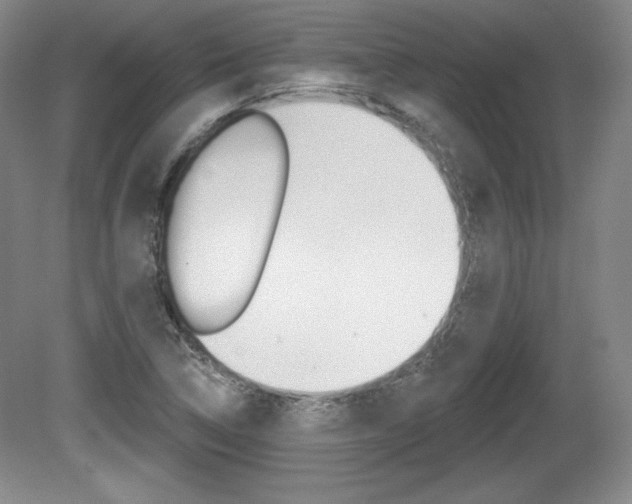 X0000080101314200612080919