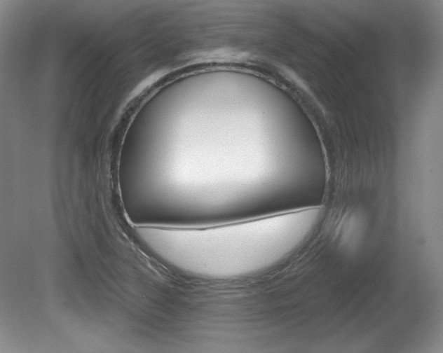 X0000080101315200612080919