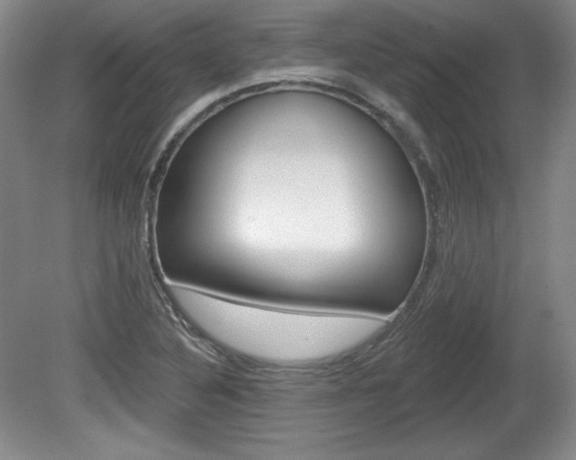X0000080101316200612080919