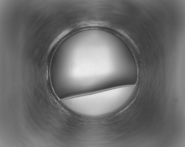 X0000080101317200612080919
