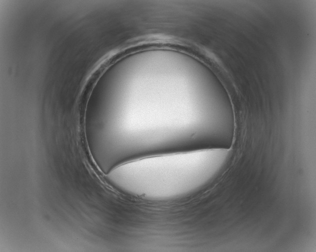 X0000080101318200612080919
