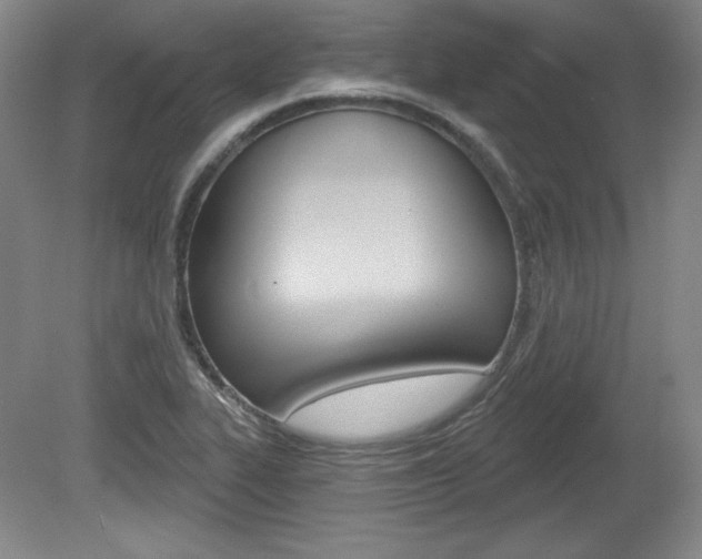 X0000080101319200612080919