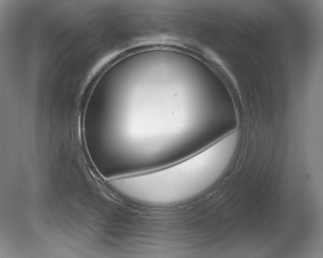 X0000080101320200612080919