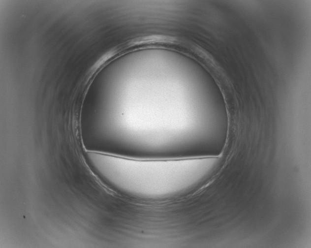X0000080101321200612080919