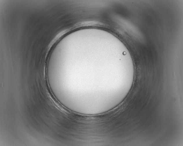 X0000080101322200612080919
