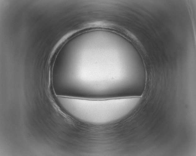 X0000080101323200612080919