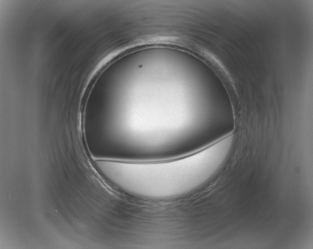 X0000080101324200612080919