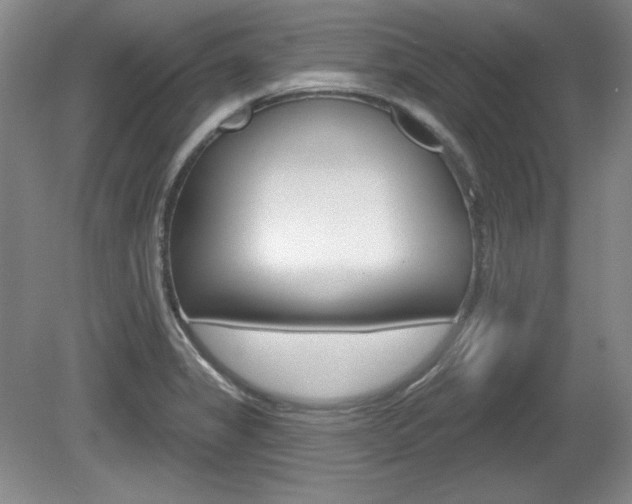X0000080101325200612080919