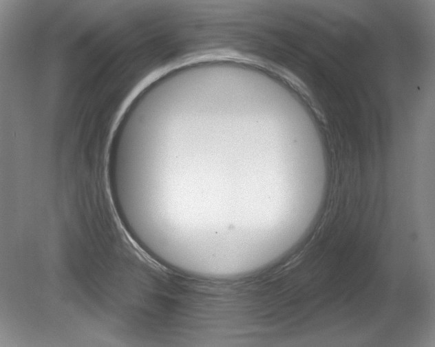 X0000080101326200612080919