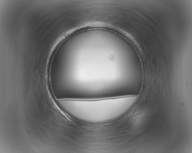 X0000080101327200612080919