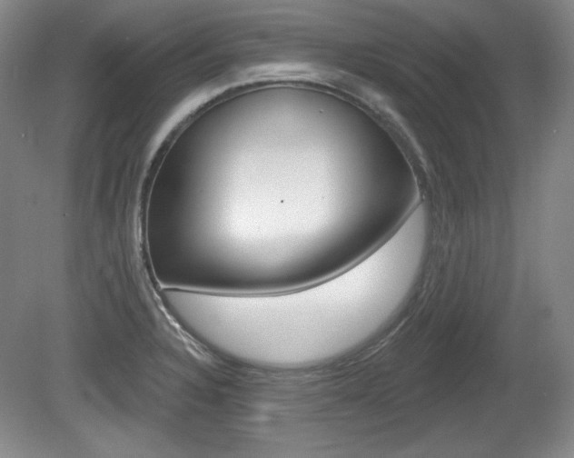 X0000080101328200612080919