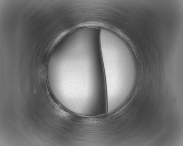X0000080101329200612080919