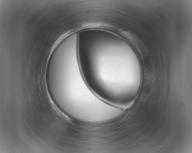 X0000080101330200612080919