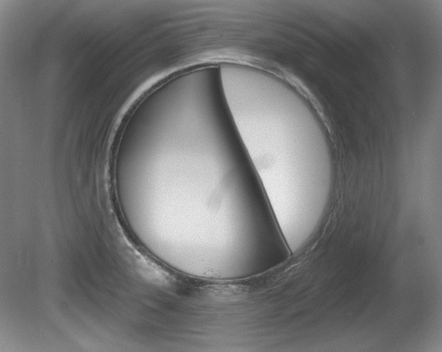 X0000080101331200612080919