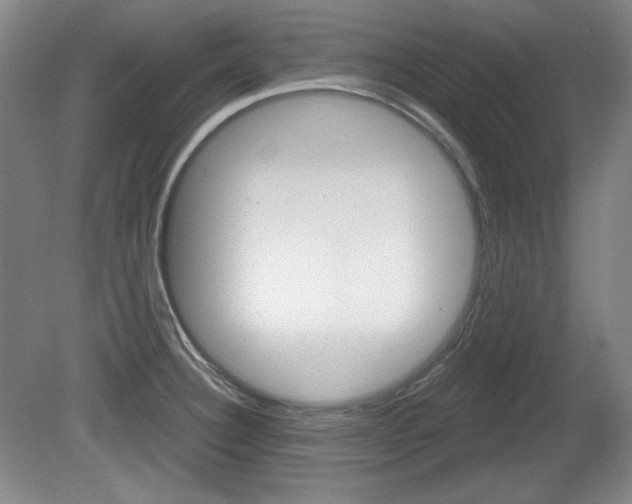 X0000080101332200612080919