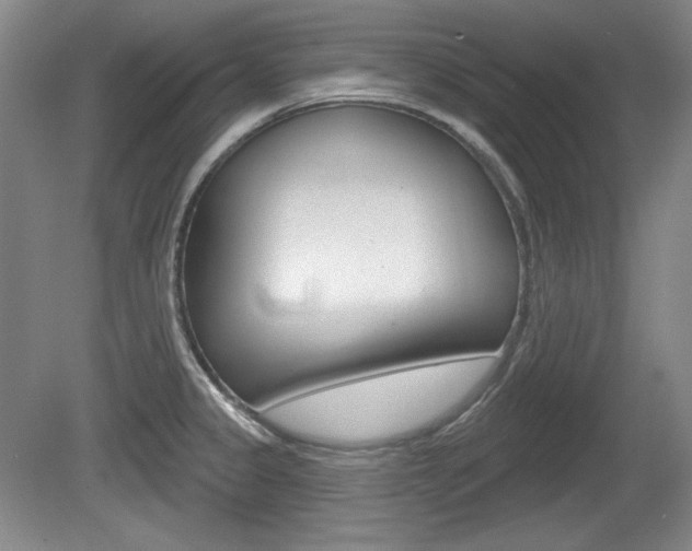 X0000080101333200612080919