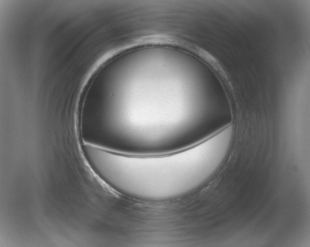 X0000080101334200612080919