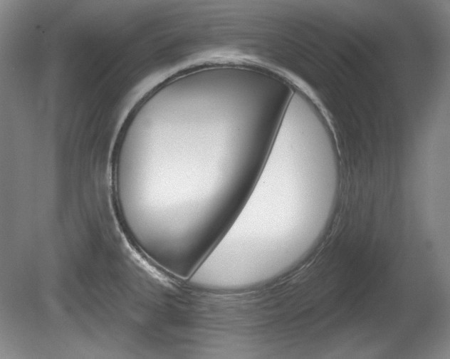 X0000080101335200612080919