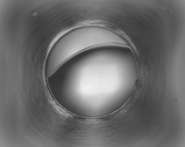 X0000080101336200612080919