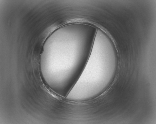 X0000080101337200612080919