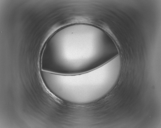 X0000080101339200612080919
