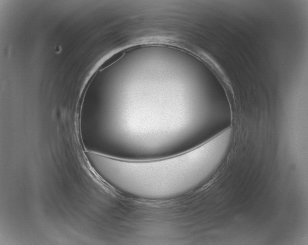 X0000080101340200612080919