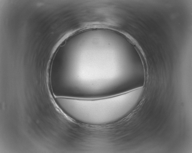 X0000080101341200612080919