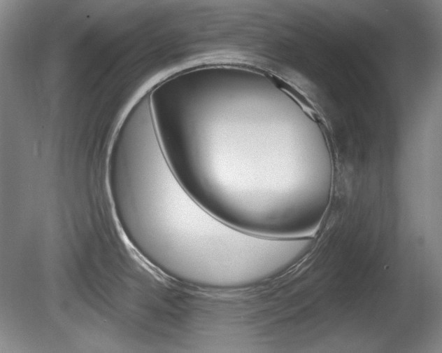 X0000080101342200612080919