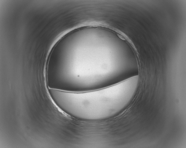 X0000080101343200612080919