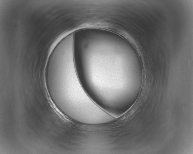 X0000080101344200612080919