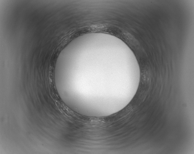 X0000080101346200612080919