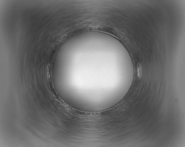 X0000080101347200612080919