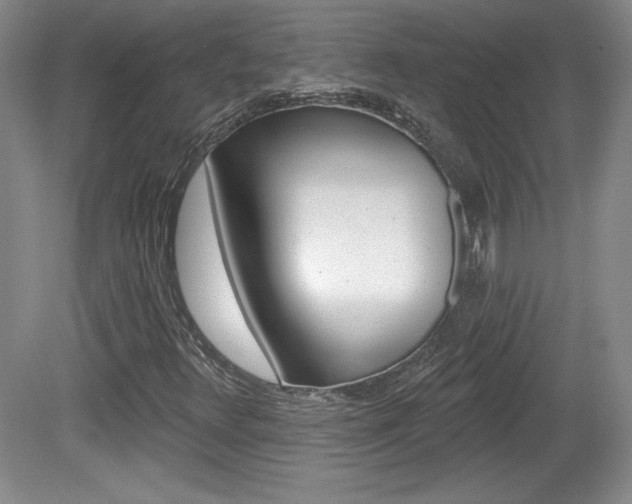 X0000080101348200612080919