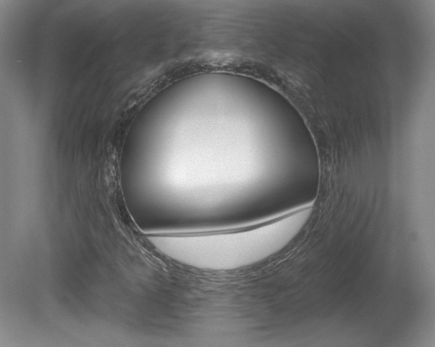 X0000080101349200612080919