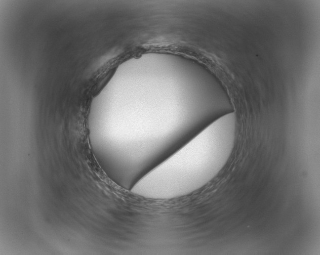 X0000080101350200612080919