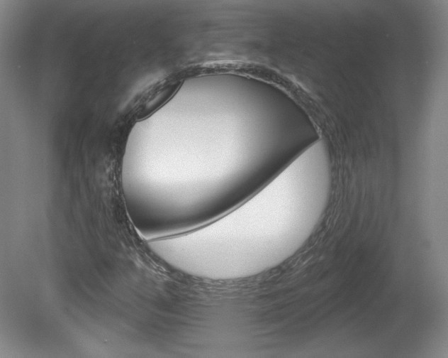 X0000080101351200612080919