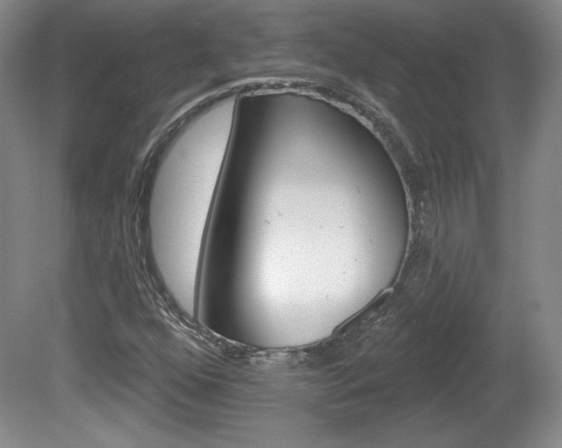 X0000080101352200612080919