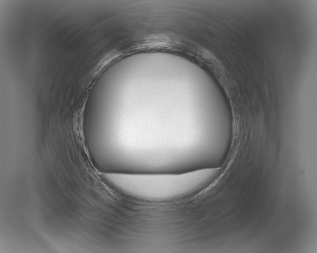 X0000080101353200612080919