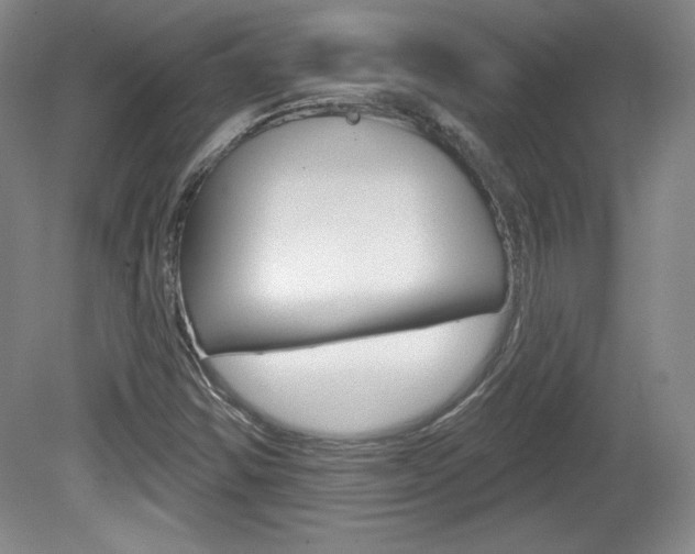 X0000080101354200612080919
