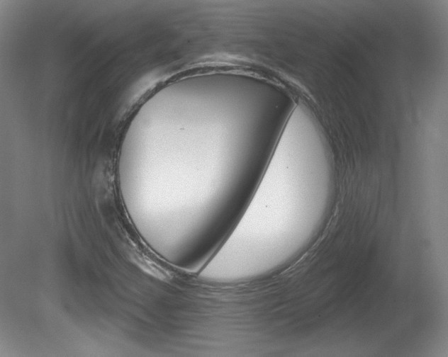 X0000080101355200612080919