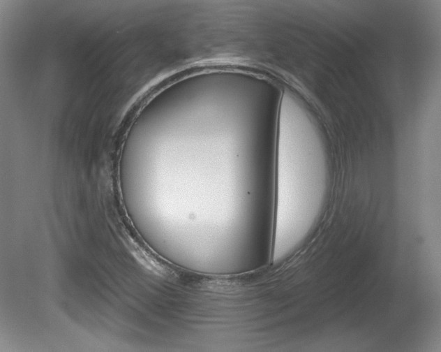 X0000080101356200612080919