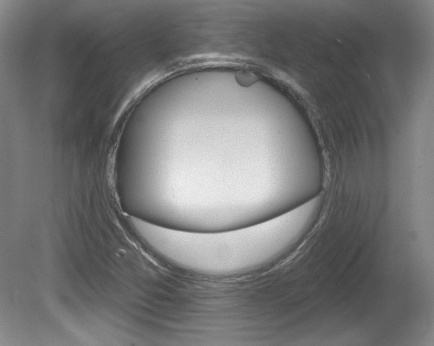 X0000080101357200612080918