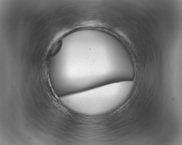 X0000080101358200612080918